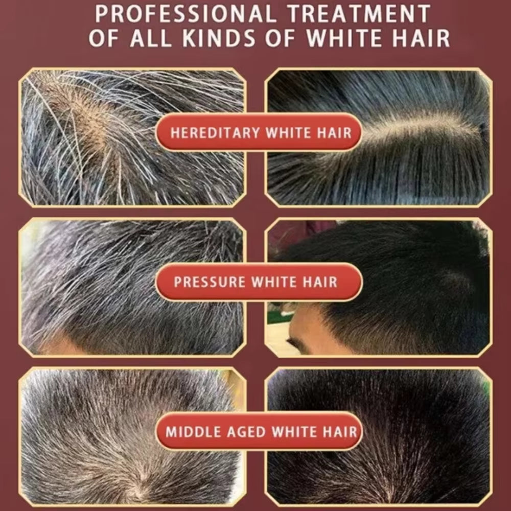 Pure Natural Herbal Hair Dye Shampoo 